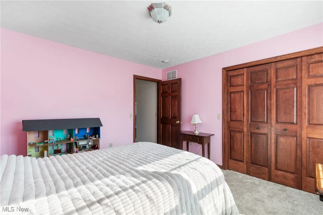 Bedroom with carpet, visible vents, and a closet