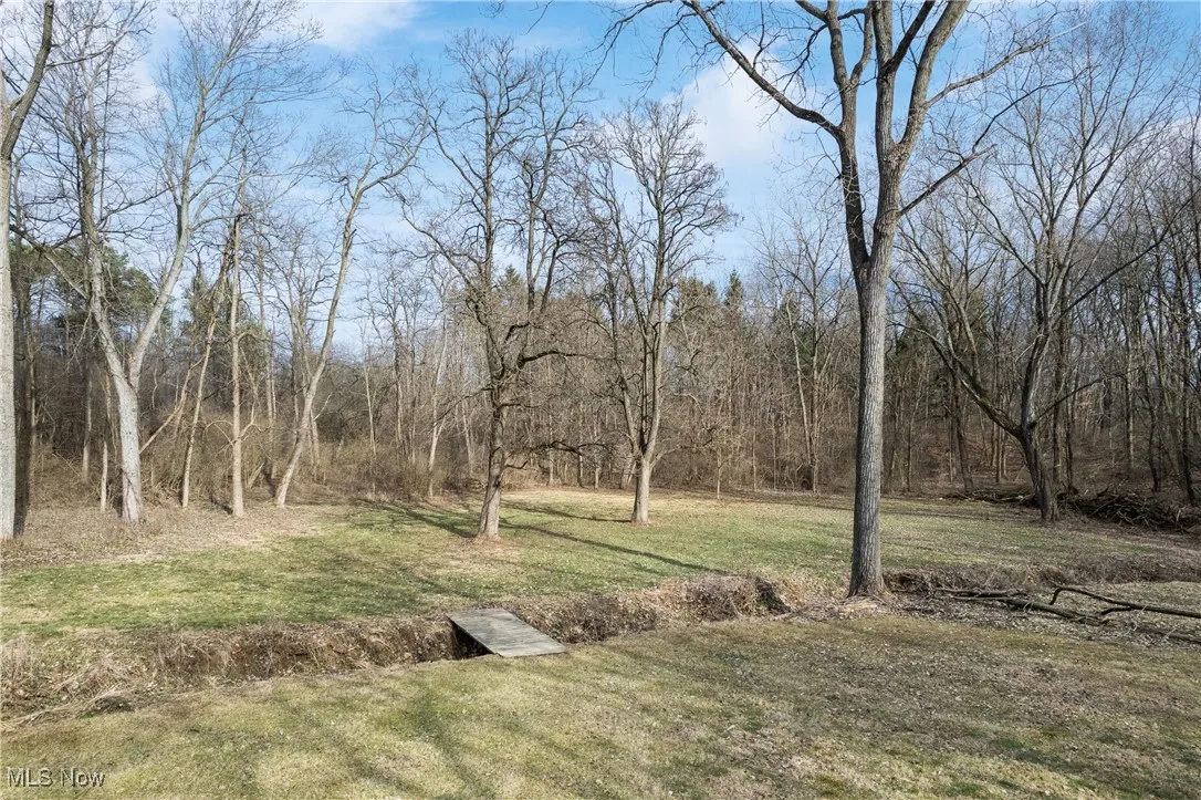 View of yard featuring a view of trees