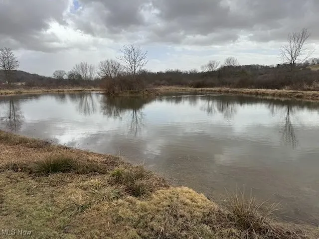 pond.