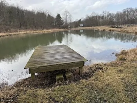 Dock area pond.