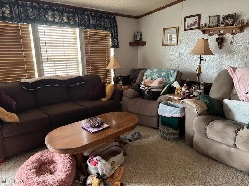 Livingroom in Modular.