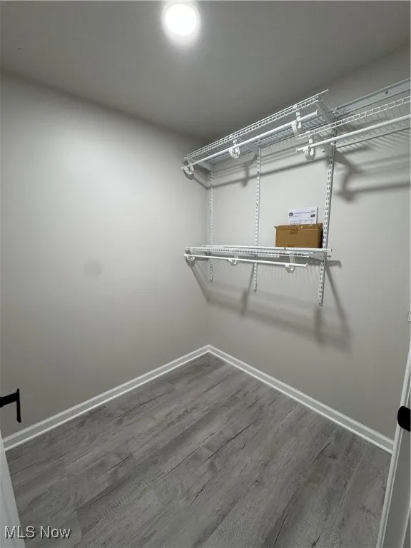 Rec room walk in closet