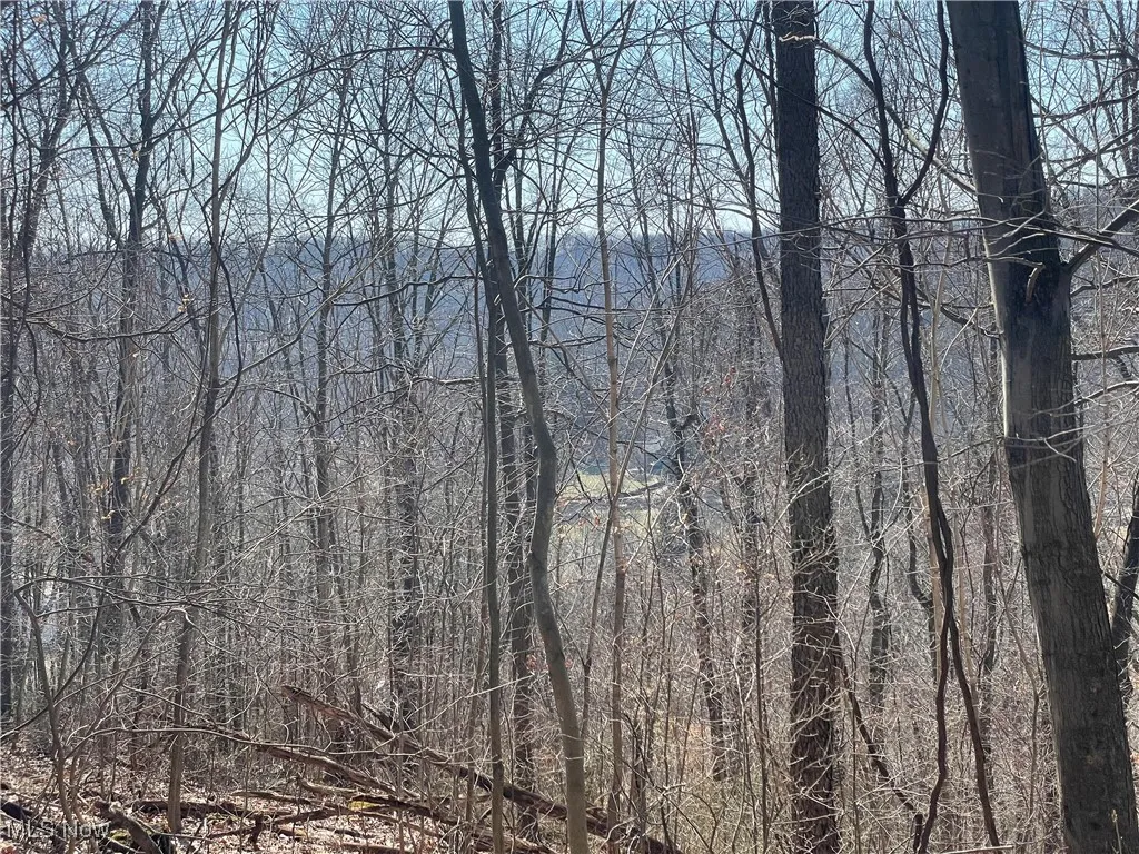 View of nature with a wooded view