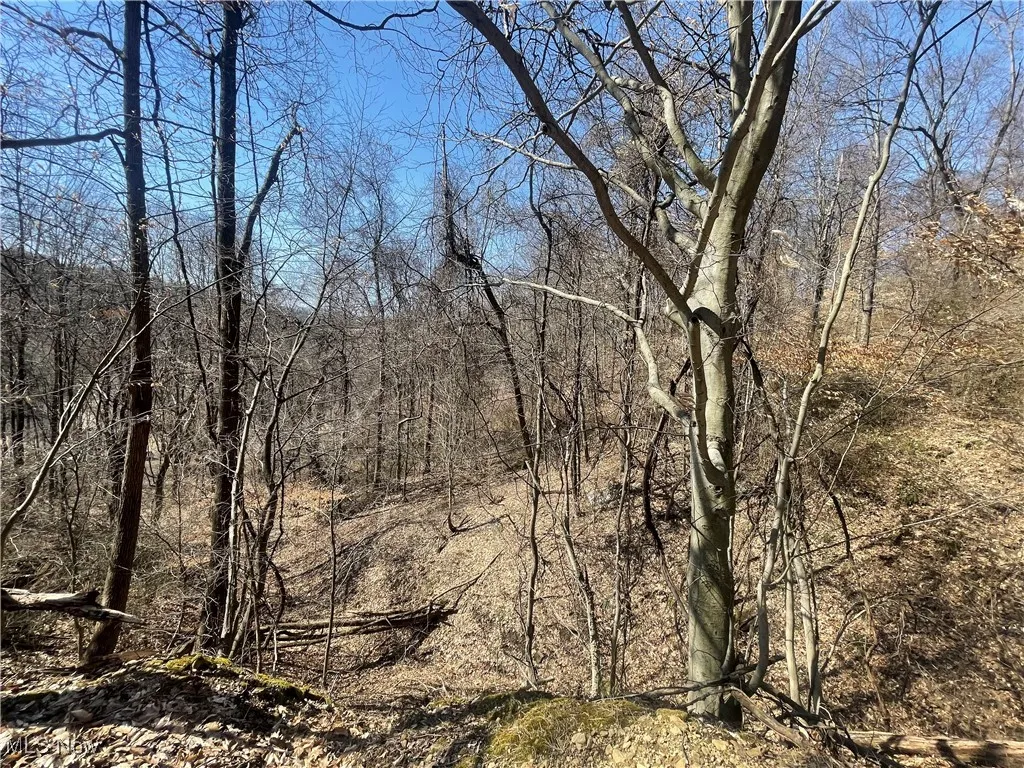 View of nature featuring a wooded view
