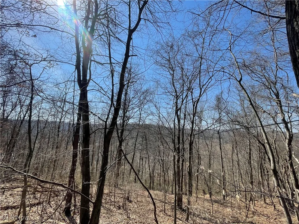 VL SE Wainwright Road, New Philadelphia, Ohio,MLS Now Listing ID