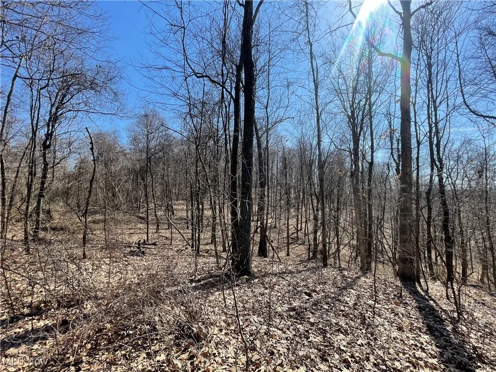 View of landscape featuring a forest view