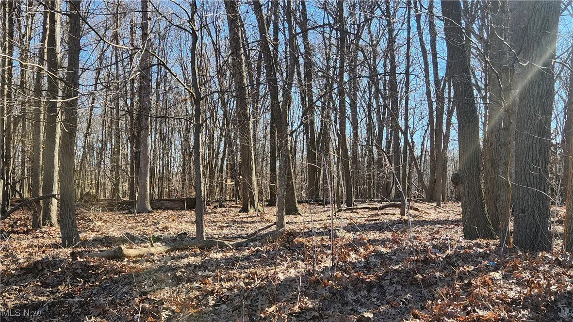 MetroPark at end of street