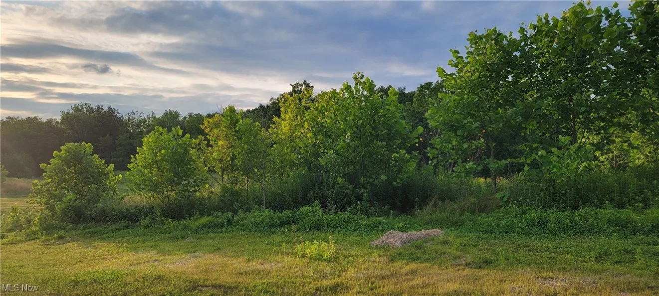 VL4 Hidden Ridge Road, North Royalton, Ohio,MLS Now Listing ID