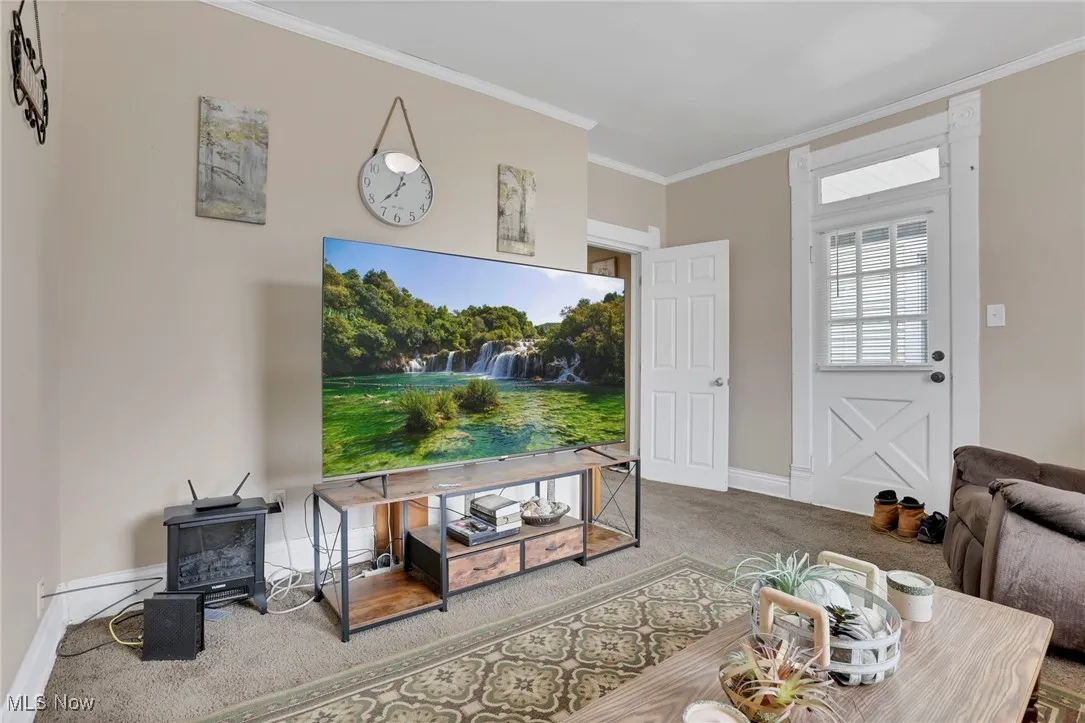 Living area with baseboards, carpet, and crown molding