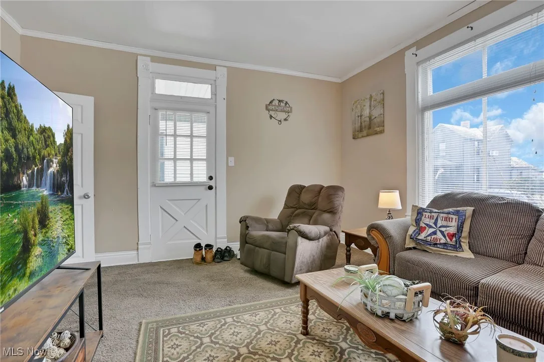 Living room featuring baseboards, carpet floors, and ornamental molding