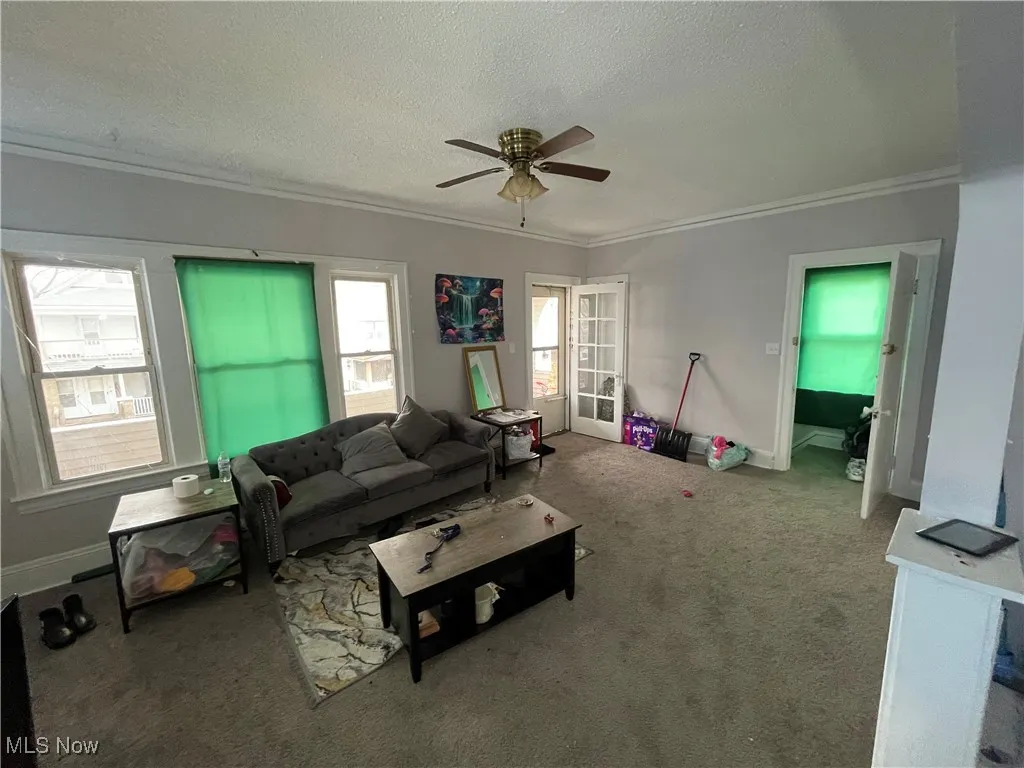Living room featuring a ceiling fan, baseboards, carpet floors, ornamental molding, and a textured ceiling