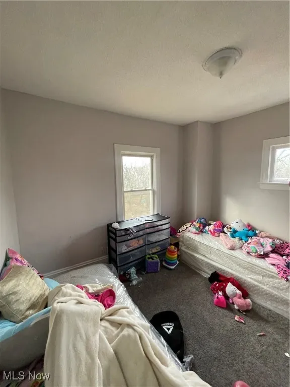 Bedroom featuring carpet flooring, baseboards, and a textured ceiling