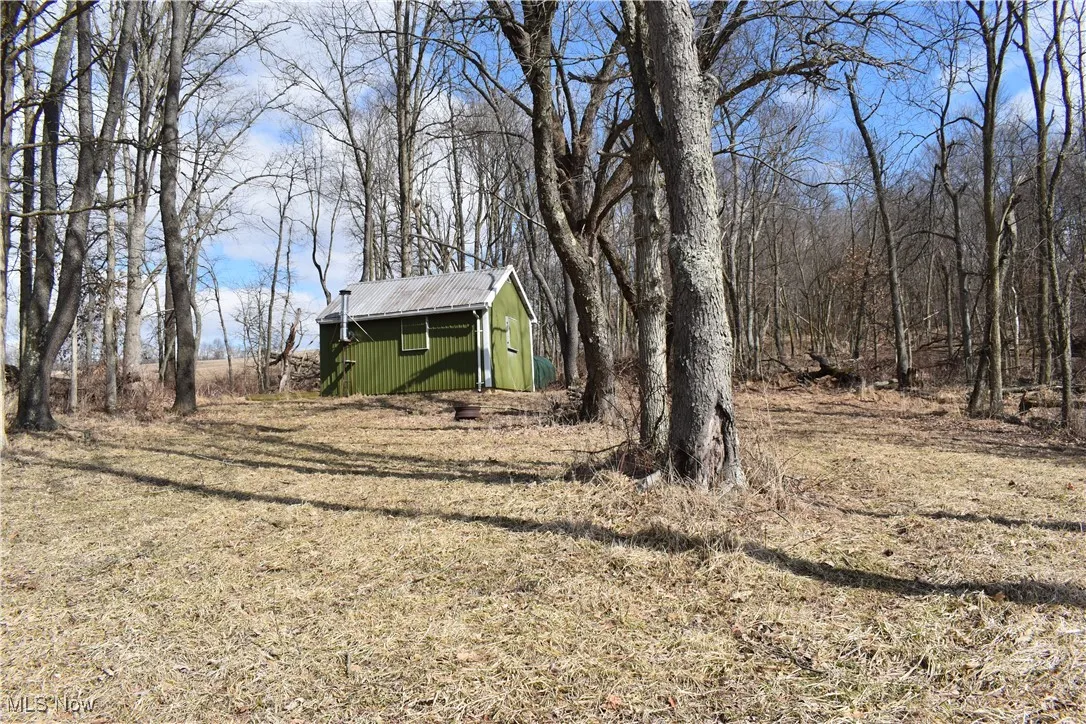 Hunting cabin
