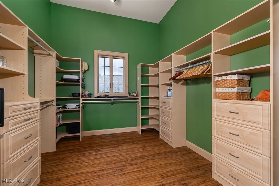 Spacious closet with dark wood finished floors