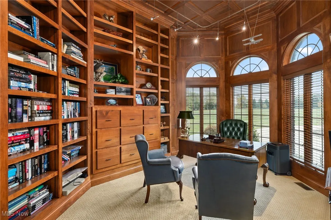 Carpeted office space featuring built in features, visible vents, an ornate ceiling, and a healthy amount of sunlight