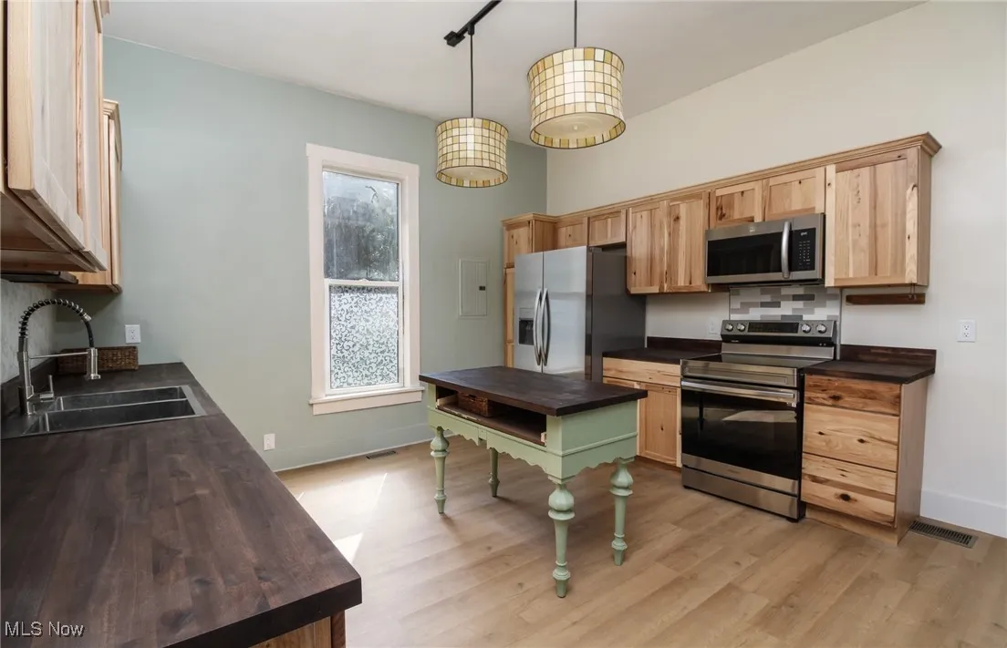Kitchen with a wealth of natural light, light wood-style floors, stainless steel appliances, and a sink