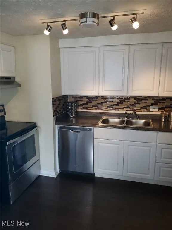 Kitchen featuring white cabinetry, under cabinet range hood, appliances with stainless steel finishes, and a sink