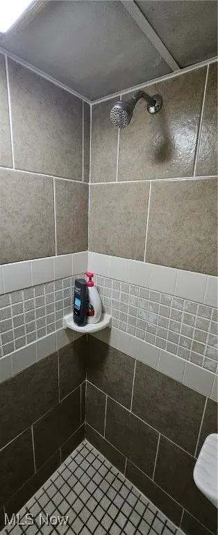 basement-dual showerhead