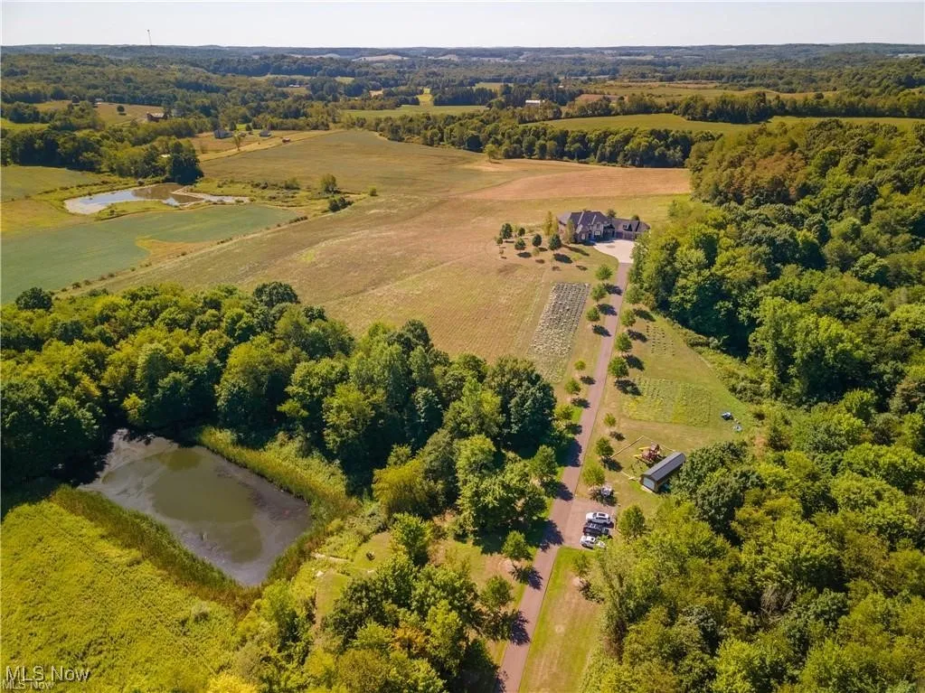 Bird's eye view with a rural view and a water view