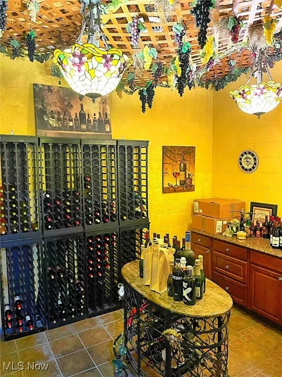 Wine room with tile patterned floors