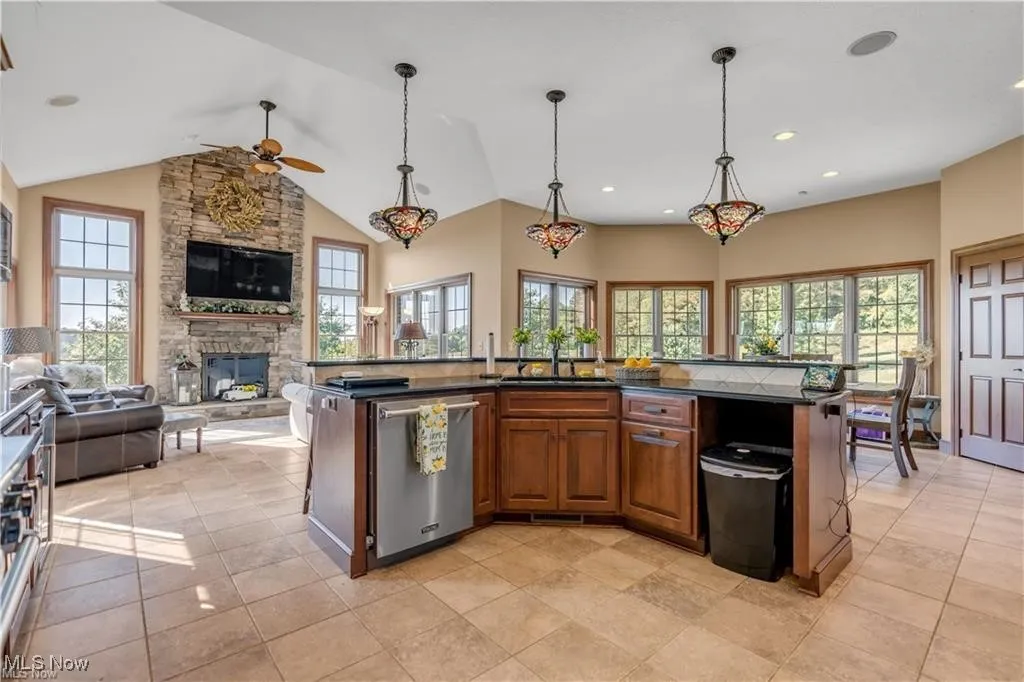 Kitchen featuring stainless steel dishwasher, a healthy amount of sunlight, open floor plan, and a fireplace