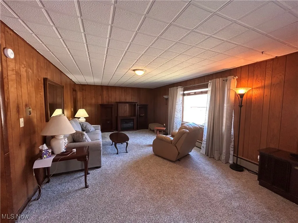 Living room featuring carpet flooring, wood walls, and baseboard heating