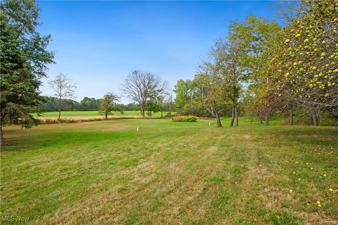 7318 Friendsville Road, Lodi, Ohio,MLS Now Listing ID