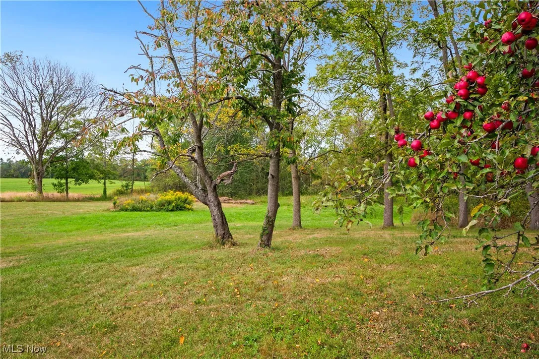 7318 Friendsville Road, Lodi, Ohio,MLS Now Listing ID