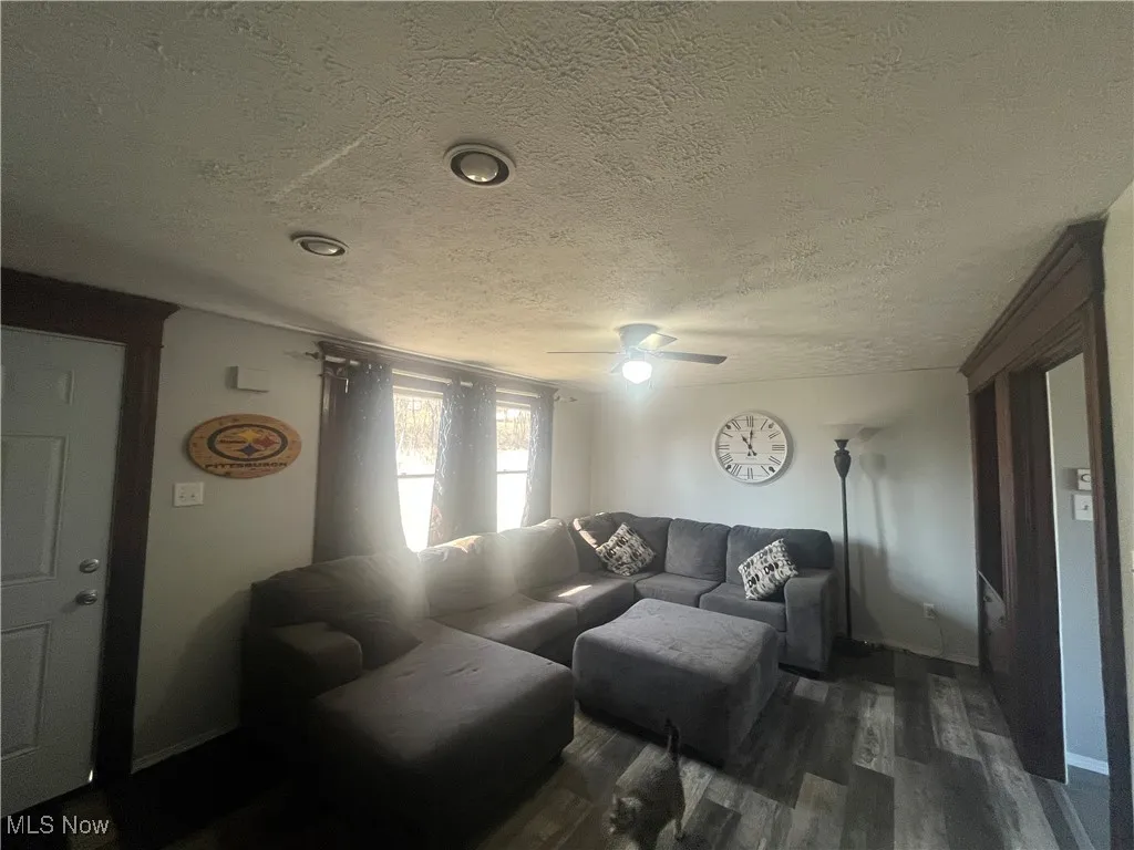 Living area featuring dark wood-style floors, a textured ceiling, and ceiling fan