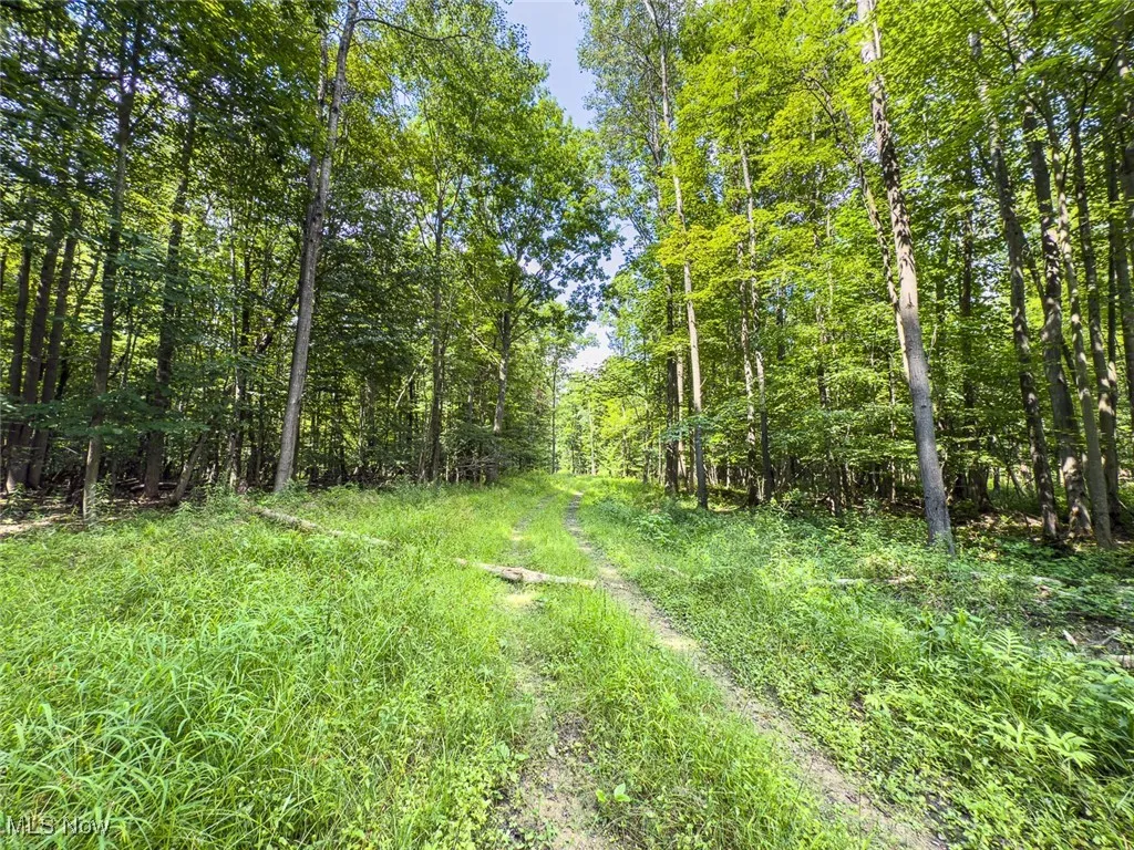 5719 N Richmond Road, Pierpont, Ohio,MLS Now Listing ID