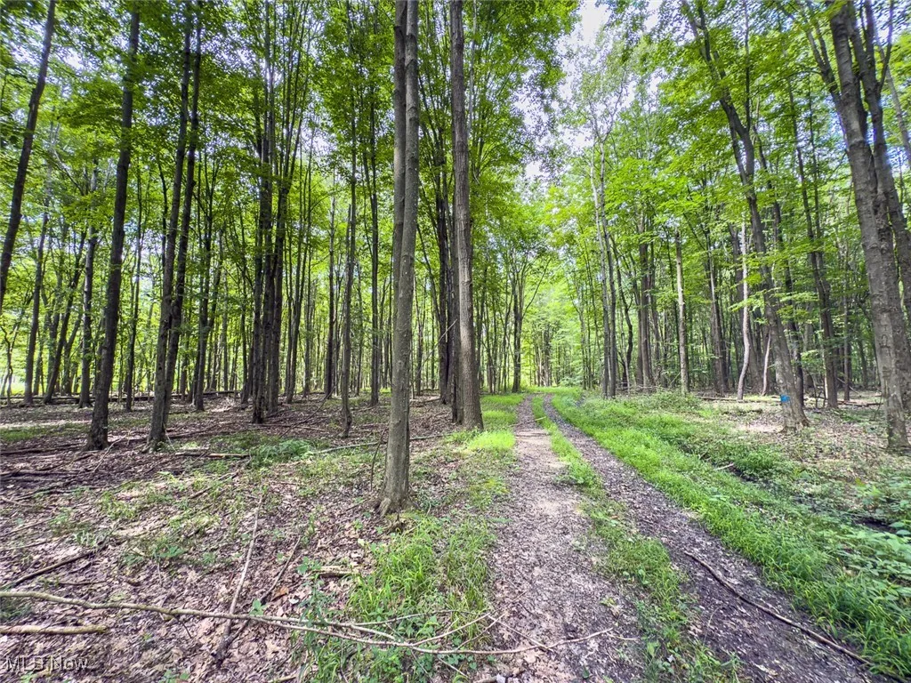 5719 N Richmond Road, Pierpont, Ohio,MLS Now Listing ID