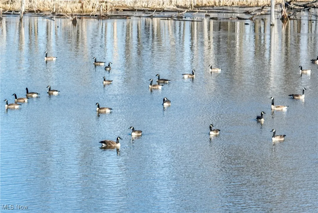 5719 N Richmond Road, Pierpont, Ohio 44082,MLS Now Listing ID