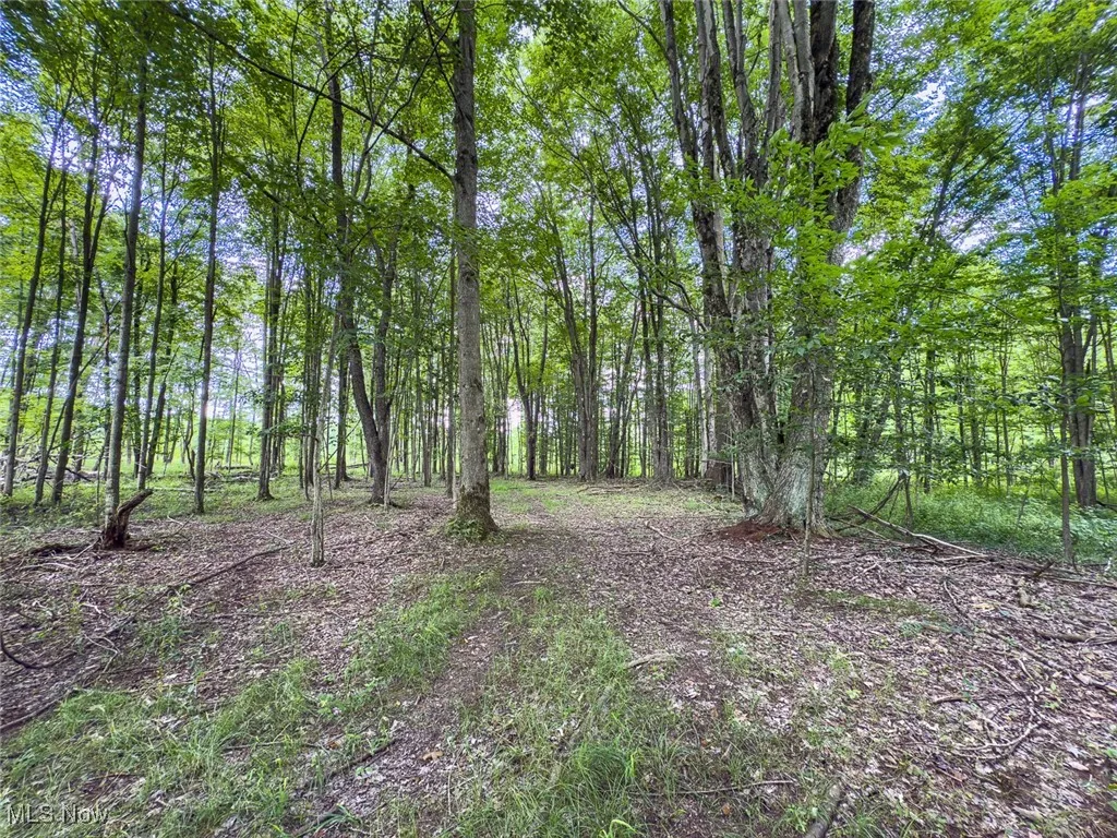 5719 N Richmond Road, Pierpont, Ohio,MLS Now Listing ID