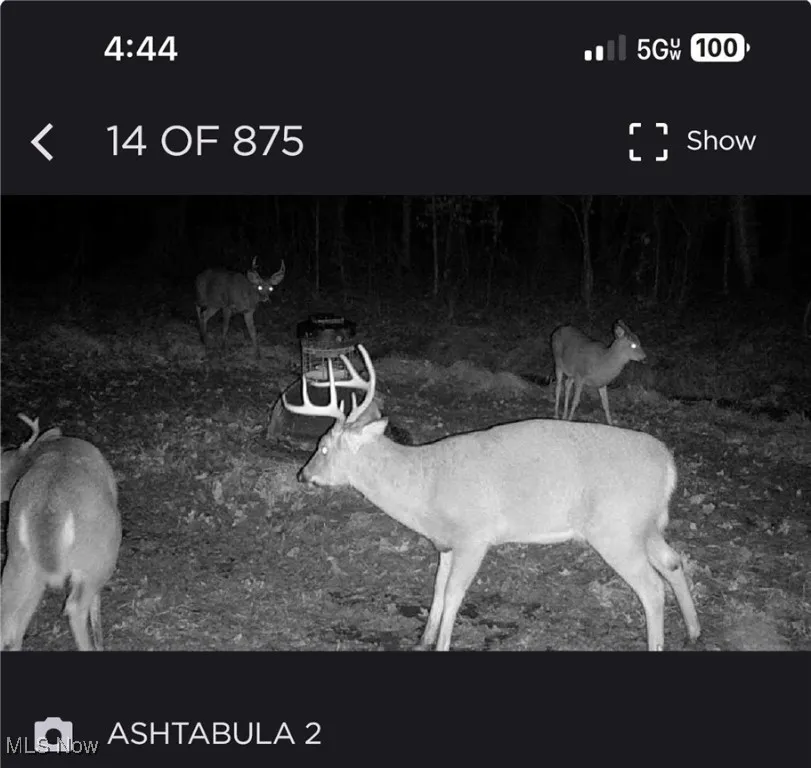 5719 N Richmond Road, Pierpont, Ohio 44082,MLS Now Listing ID