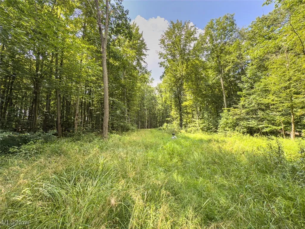 5719 N Richmond Road, Pierpont, Ohio,MLS Now Listing ID