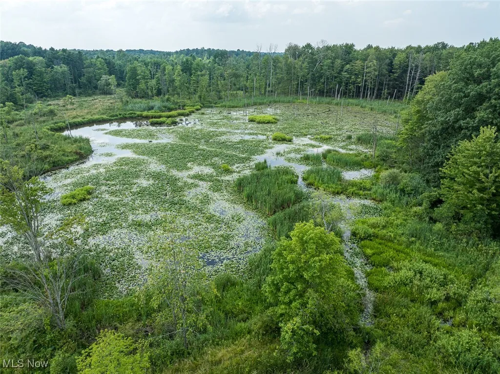 5719 N Richmond Road, Pierpont, Ohio,MLS Now Listing ID