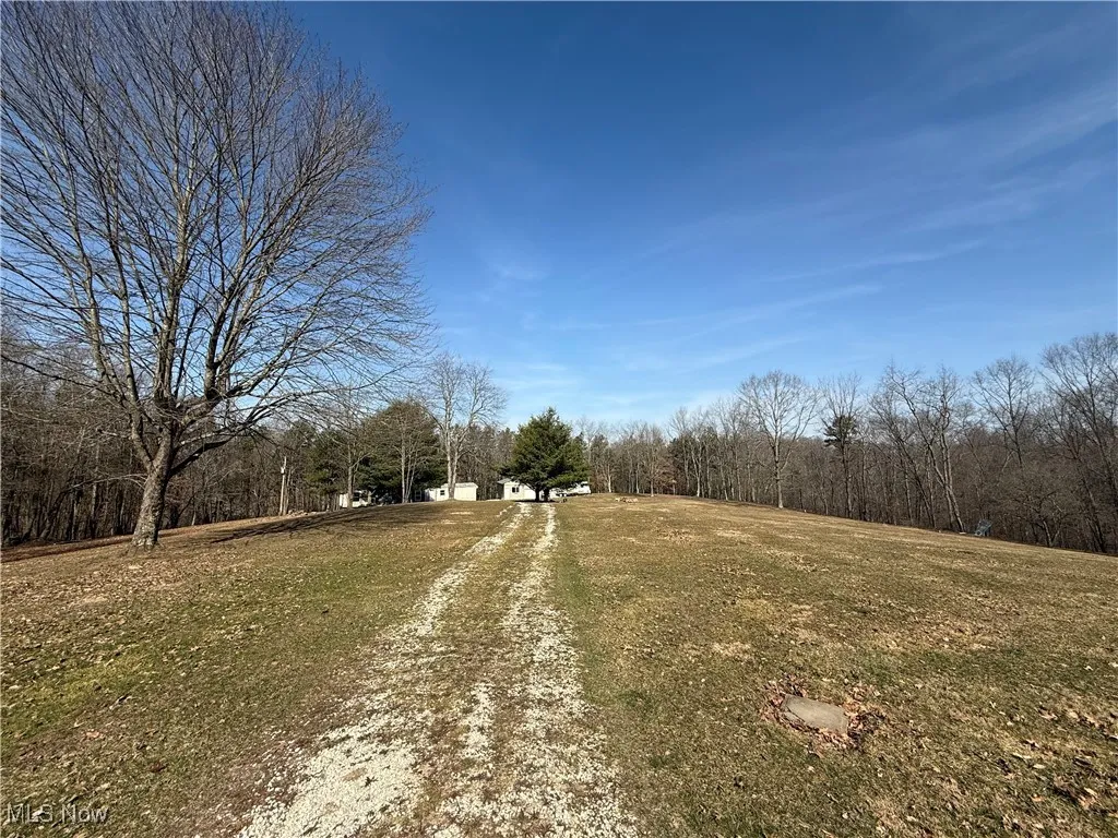 View of street with a wooded view and driveway