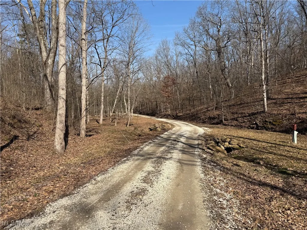 View of street featuring a view of trees