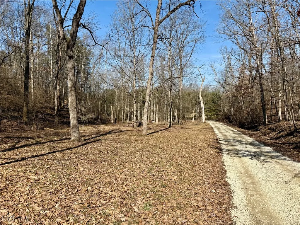 View of street with a wooded view