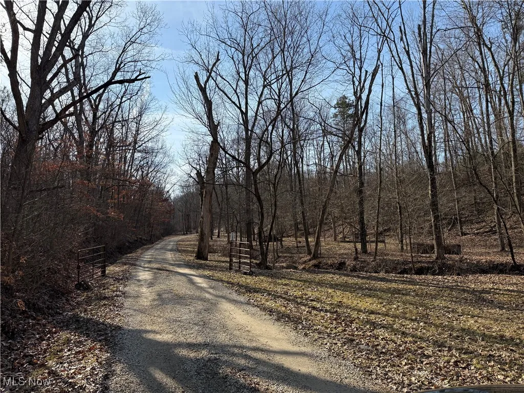 View of road