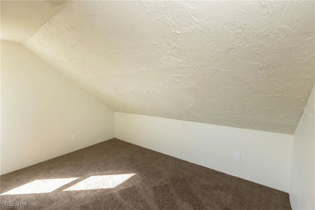 Bonus room featuring lofted ceiling, carpet, and a textured ceiling