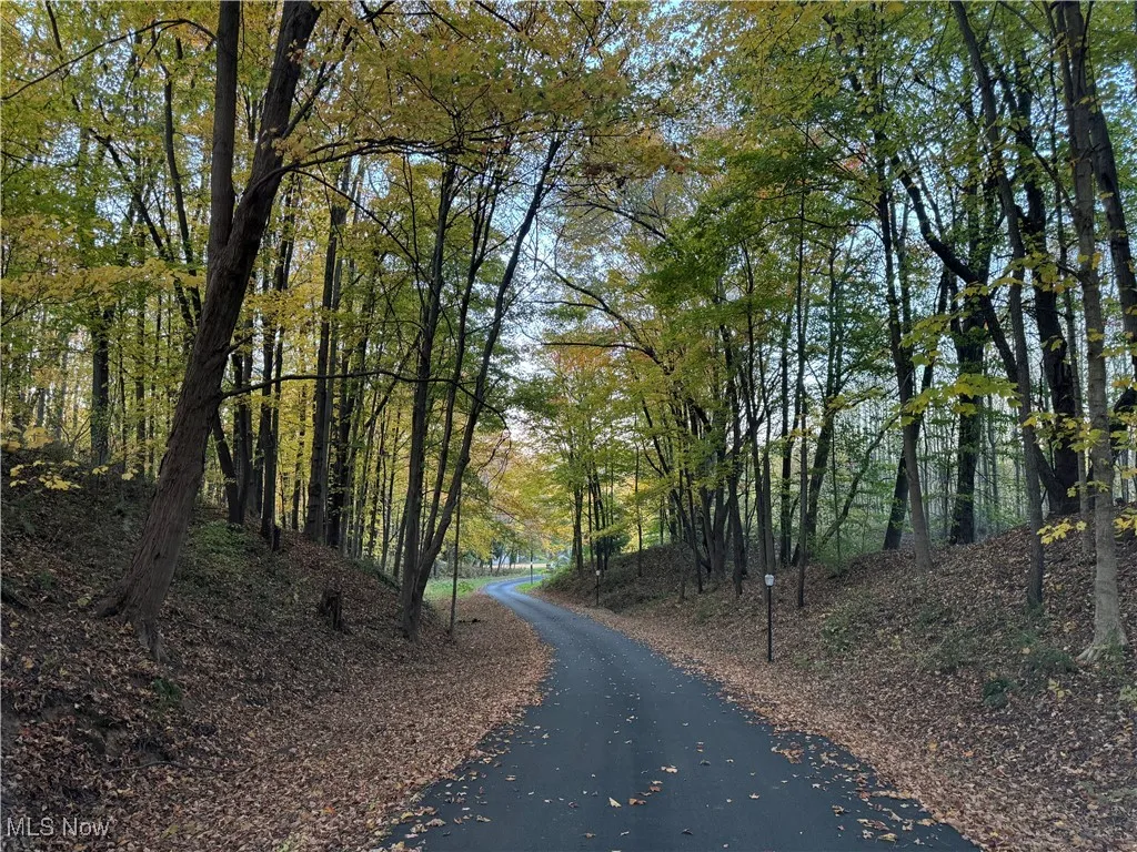 View of 800' driveway