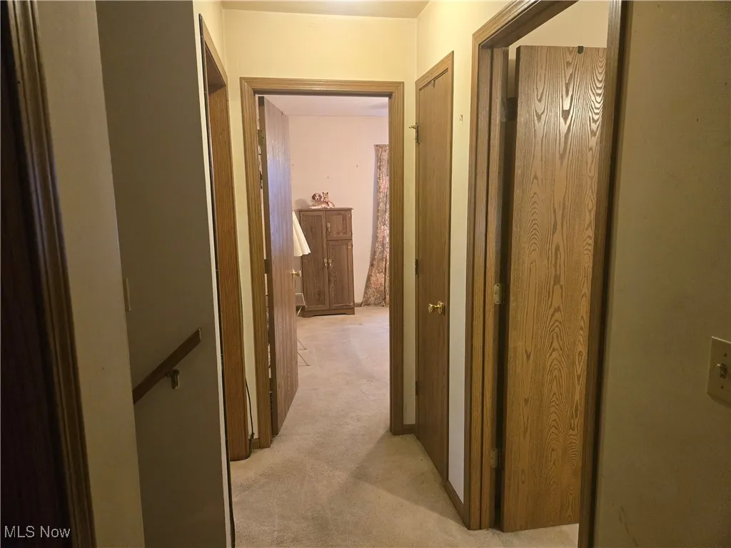 Hall with light carpet