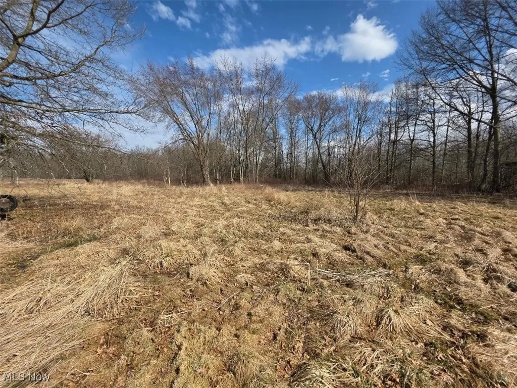 3366 Eagle Creek Road, Leavittsburg, Ohio,MLS Now Listing ID