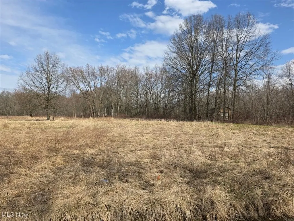 3366 Eagle Creek Road, Leavittsburg, Ohio,MLS Now Listing ID