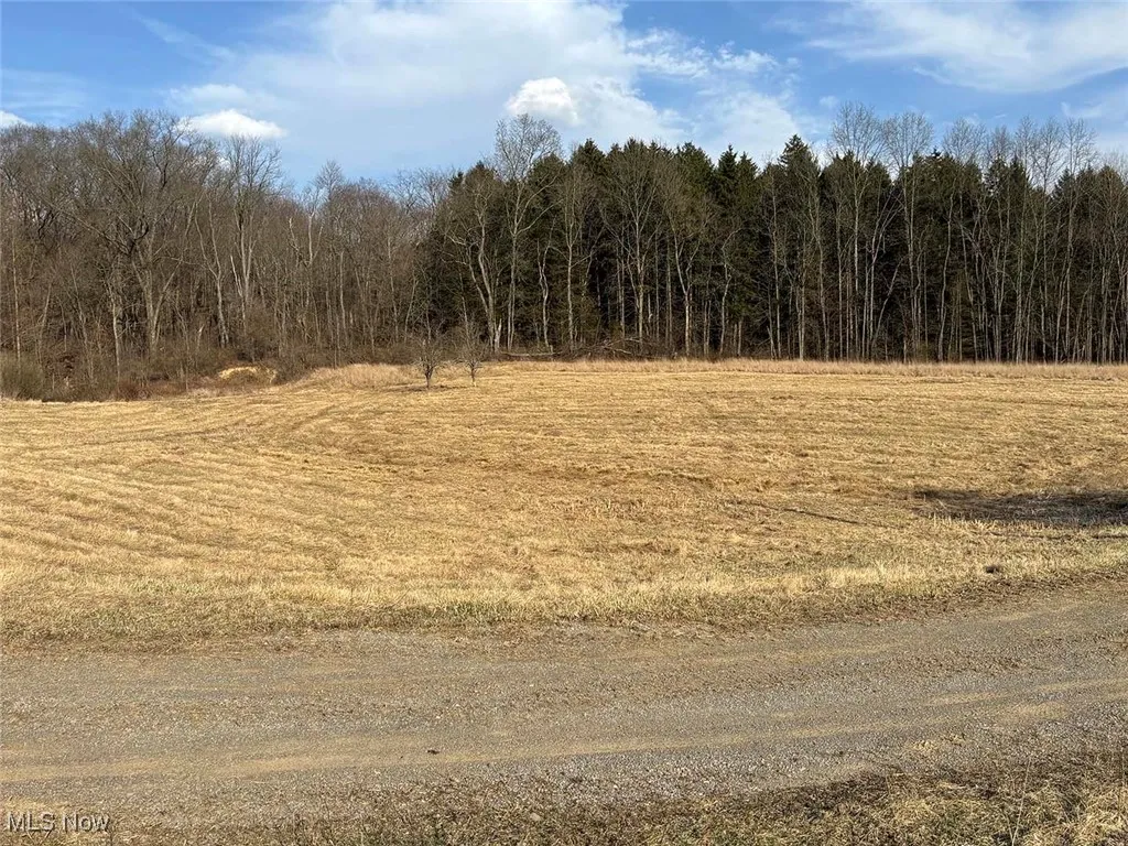 View of local wilderness featuring a forest view