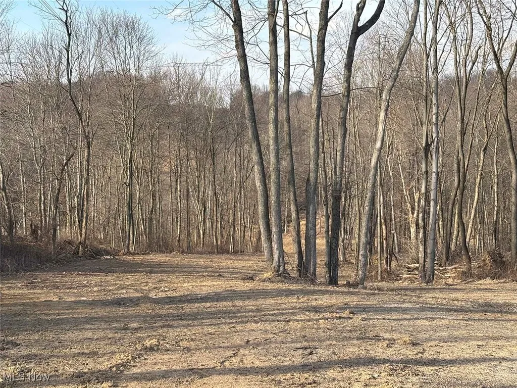 View of landscape with a view of trees