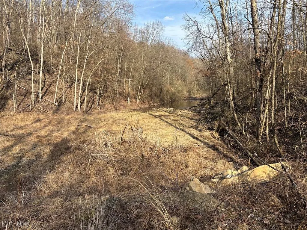 View of landscape with a wooded view
