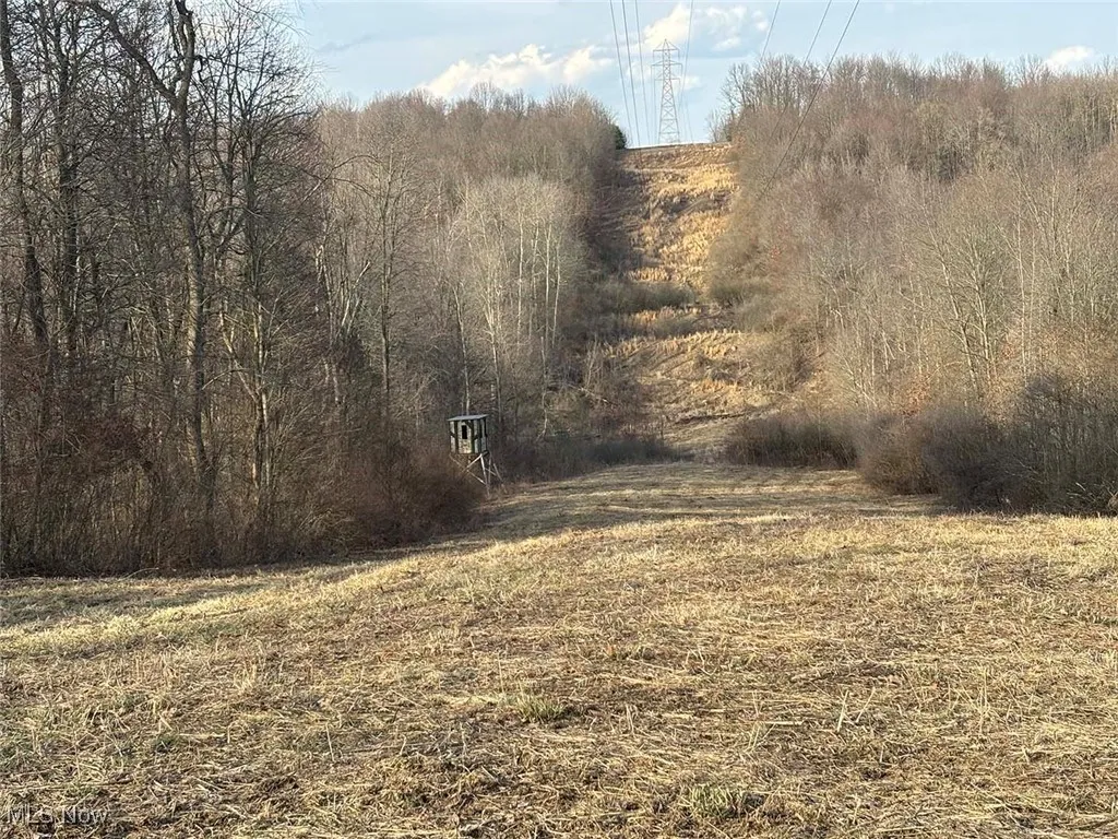 View of landscape