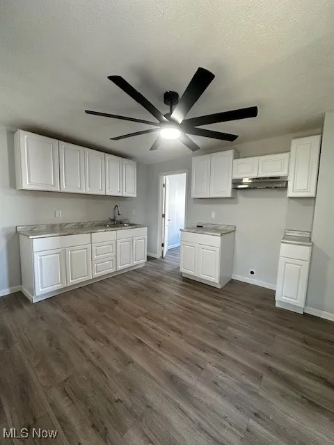 Kitchen featuring ceiling fan, dark wood-style flooring, exhaust hood, white cabinetry, and a sink